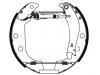 刹车蹄片 Brake Shoe Set:4241.6E