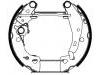 刹车蹄片 Brake Shoe Set:4241.6A